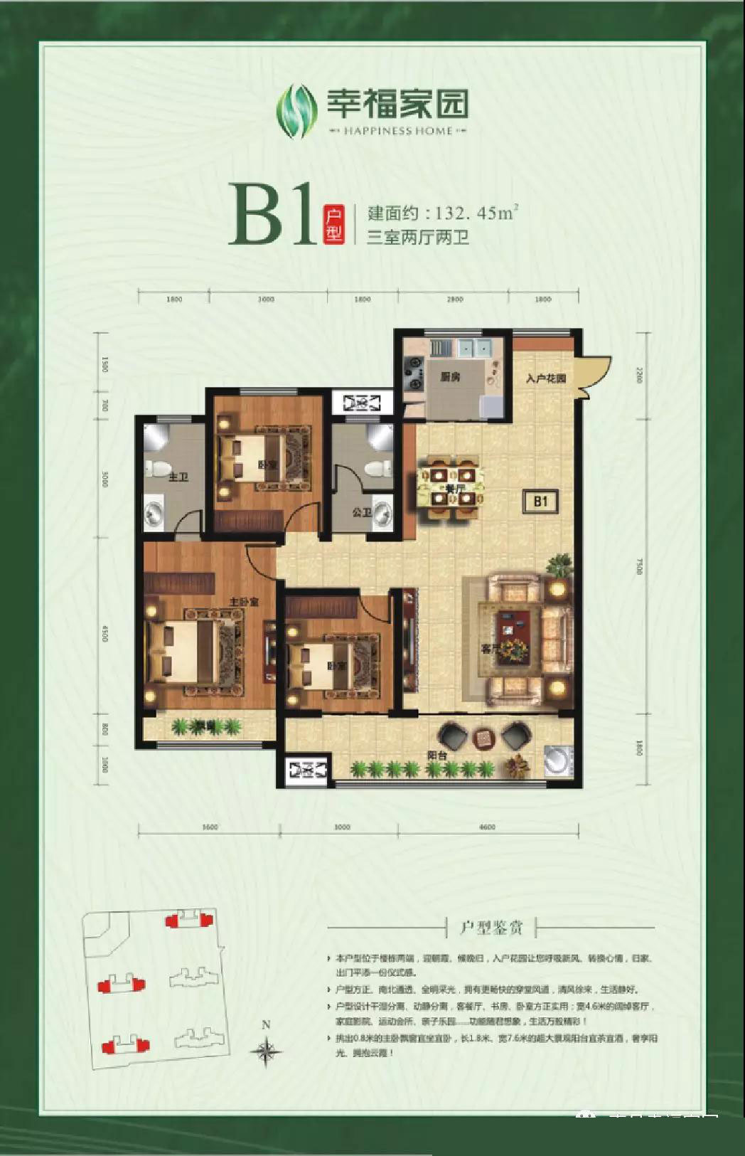 B1户型