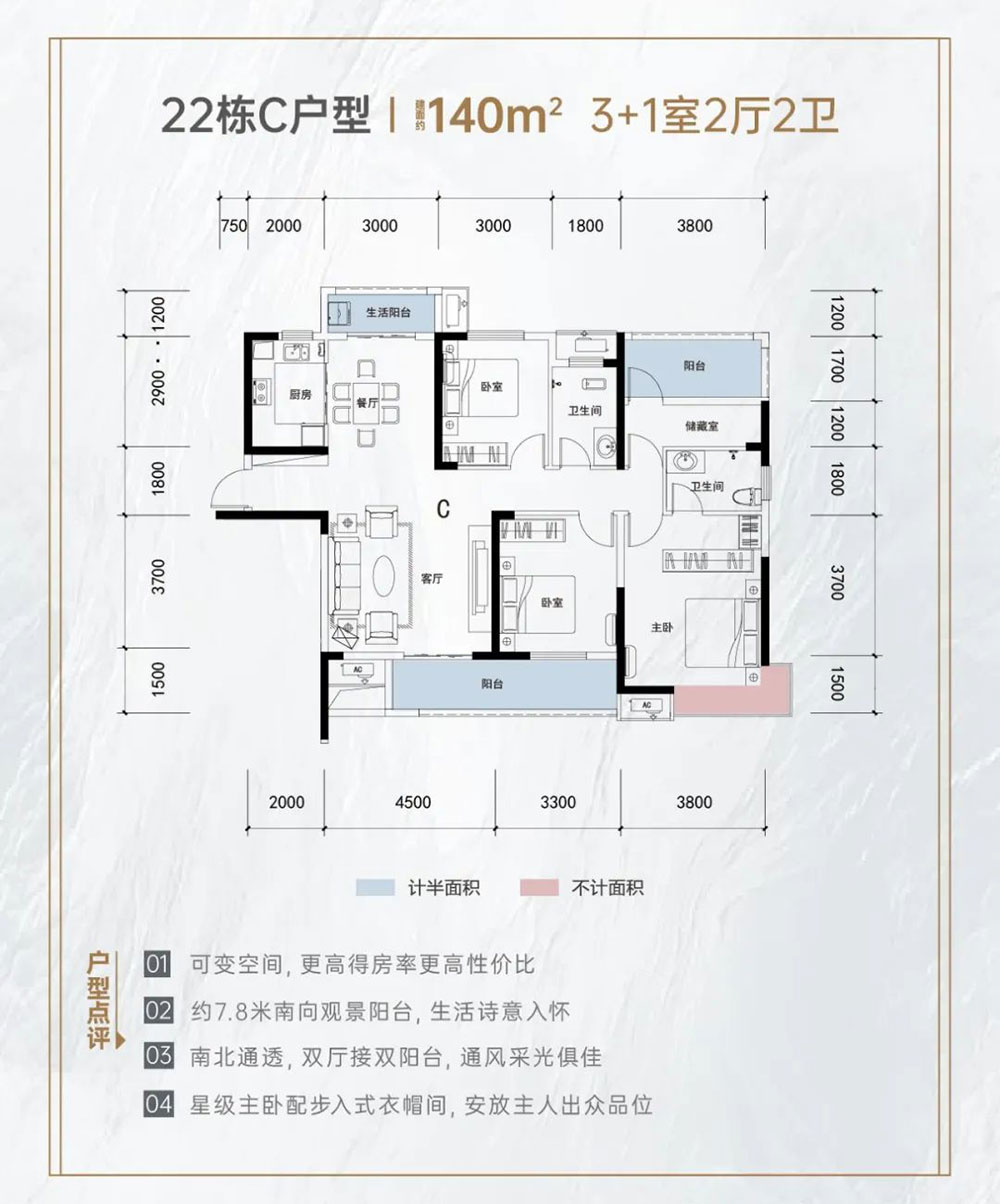 22栋C户型