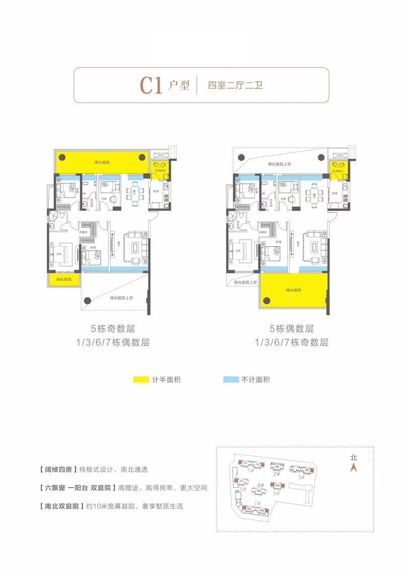 C1户型