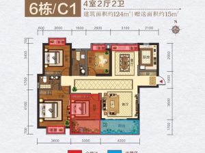 6栋C1户型